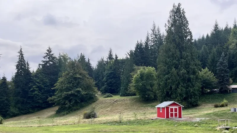 Shed construction in the Pacific Northwest — built for rain, wind, and moisture